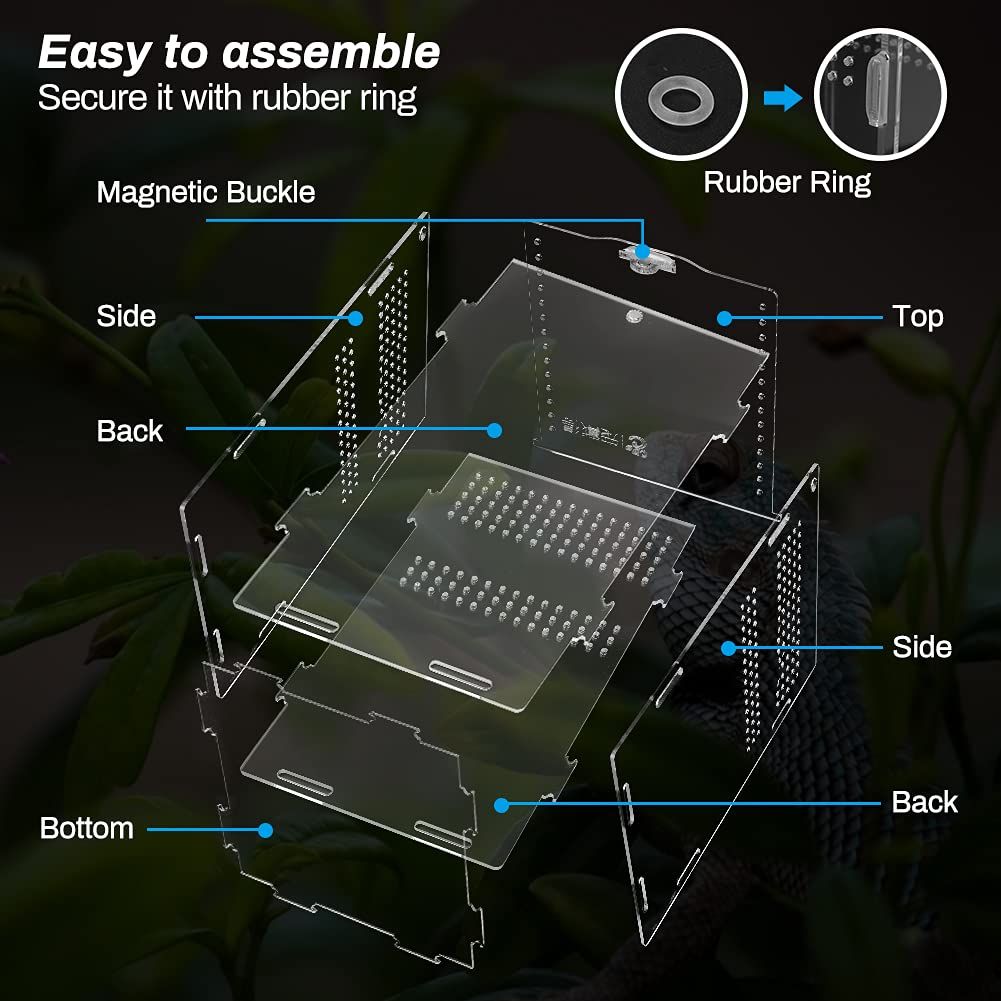 Reptile Habitat Terrarium Breeding Box for Spider Scorpion Sling Isopods Acrylic Case Nano Arboreal Tarantula Enclosure