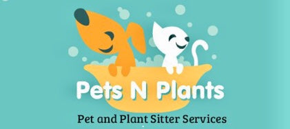 About Pets N Plants