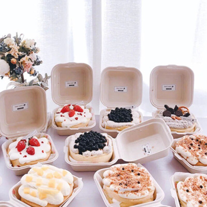 10/20pcs Disposable Bento Food Containers