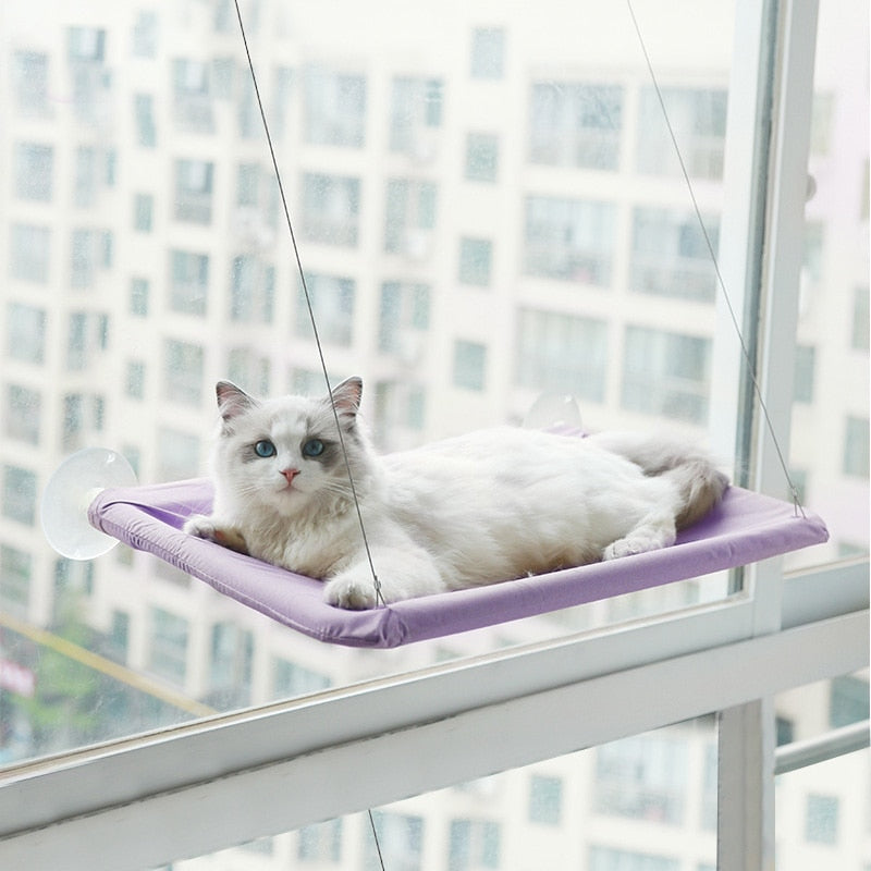 Hanging Hammock for Cats and Other Small Pets