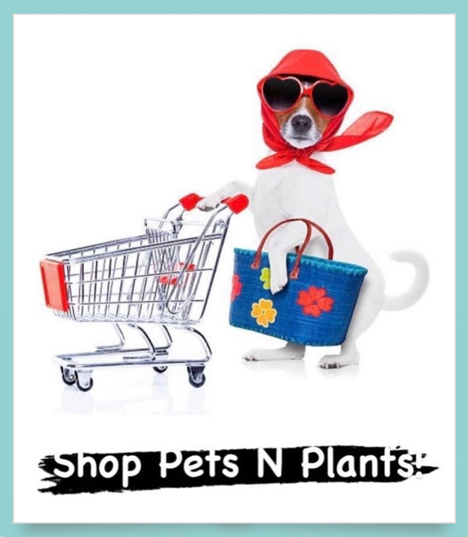 Pets N Plants! Online Store Gift Card