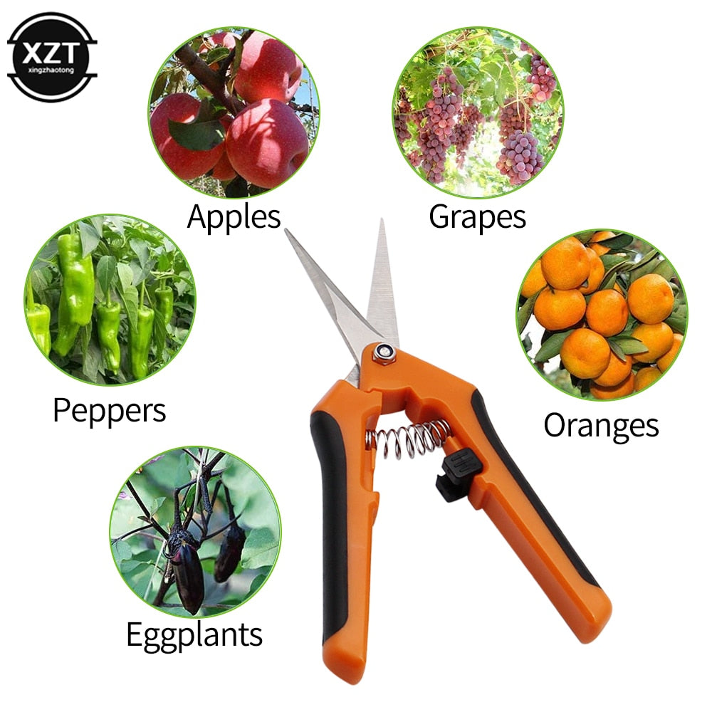 Garden - Bonsai Shears Metal Gardening Scissor Pruning Tool