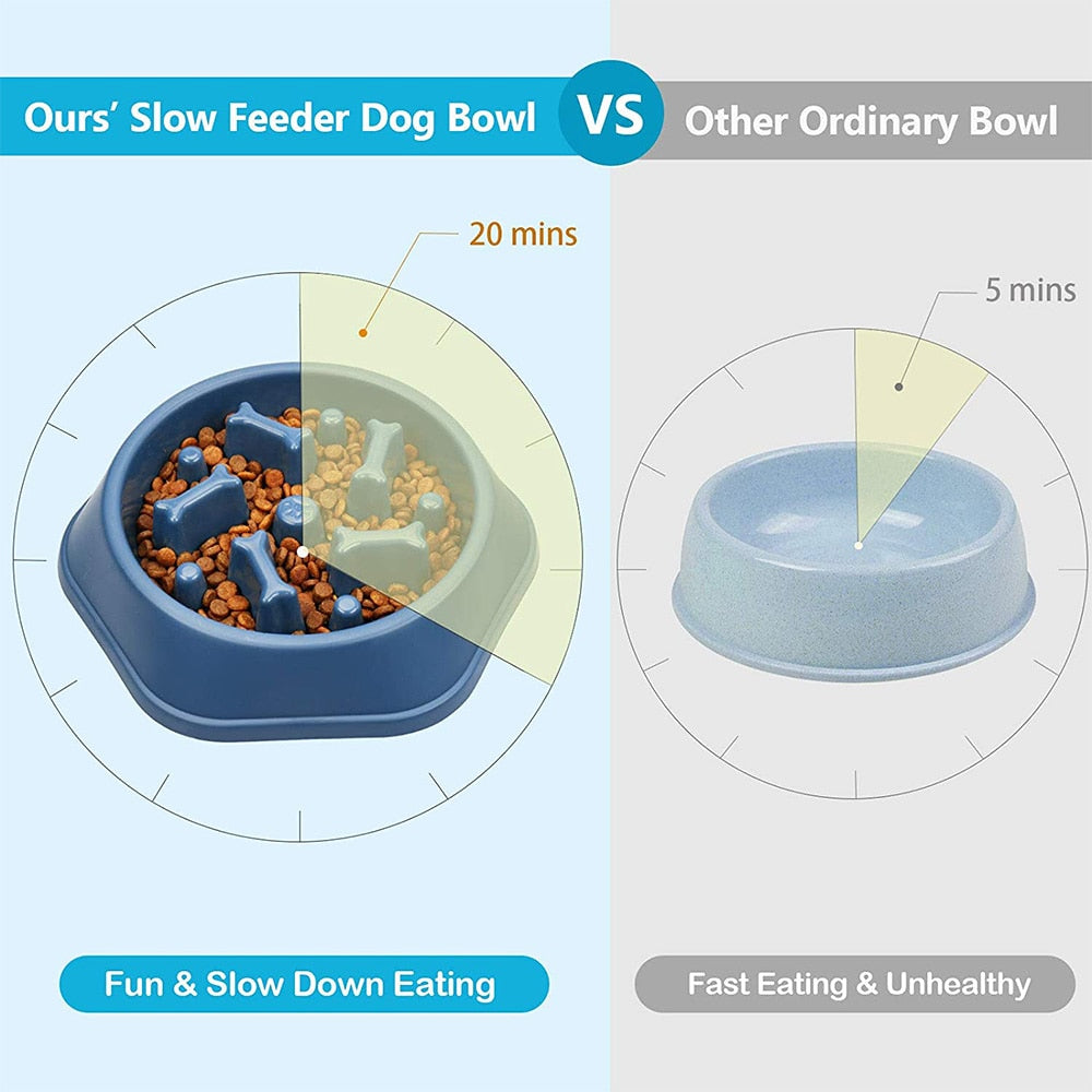 Pet Slow Feeder Bowl l