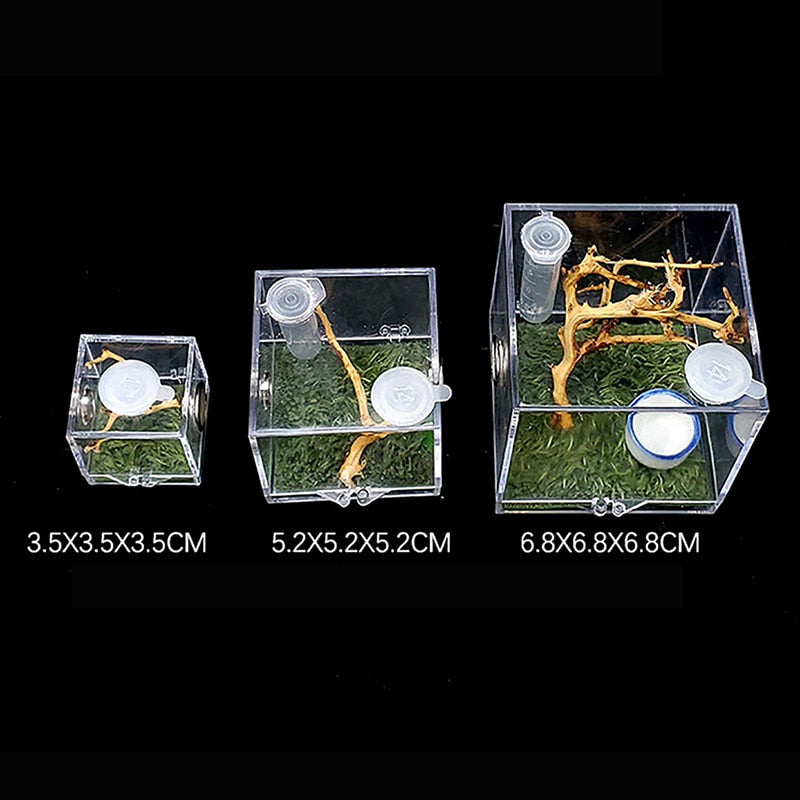 S/M/L Spider Reptile Terrarium Acrylic Reptile Breeding Box Terrarium Accessories Insect Box For Spider Cricket Snail Tarantula