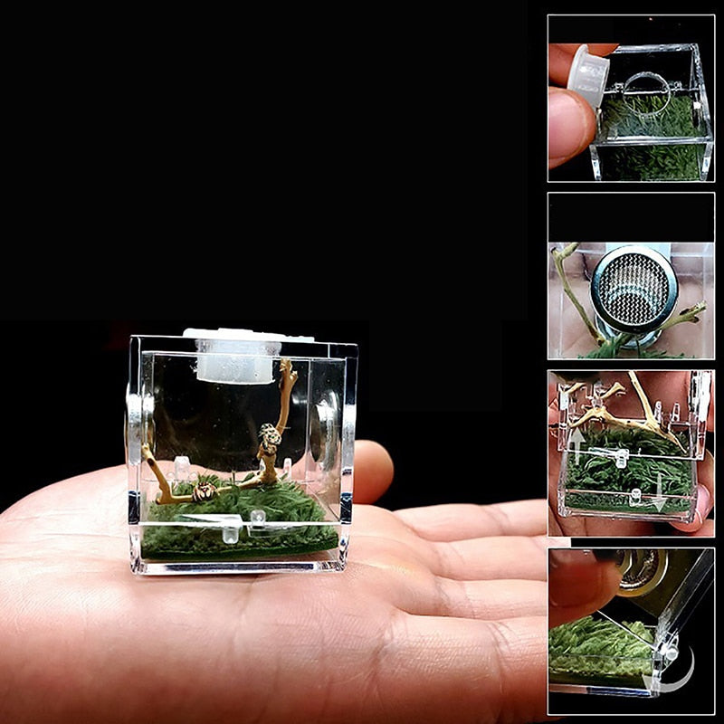 S/M/L Spider Reptile Terrarium Acrylic Reptile Breeding Box Terrarium Accessories Insect Box For Spider Cricket Snail Tarantula