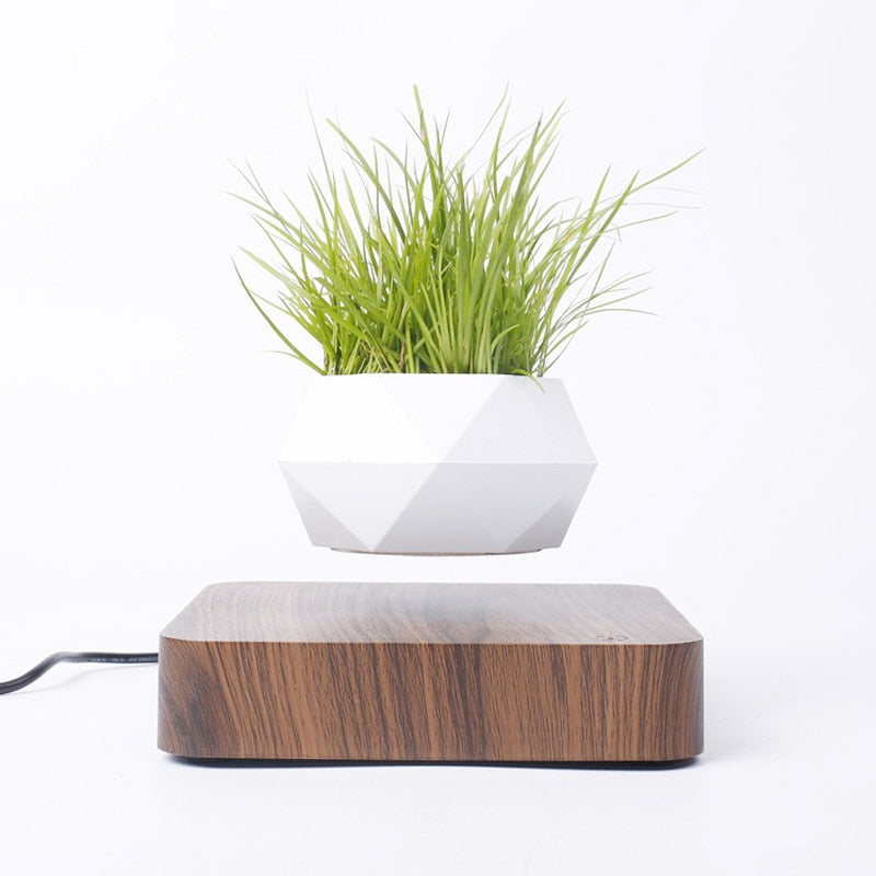 Levitating Air Bonsai Pot Rotation Planters Desk Decor