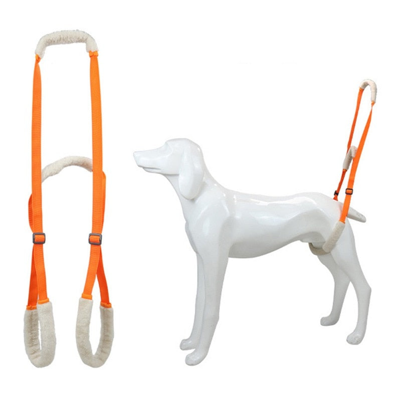 Pet Rear Legs Support - Aid Sling - Pet Dog Lift Harness For Elderly Dog With Poor Stability Back Leg Hip Disabled Joint Injury