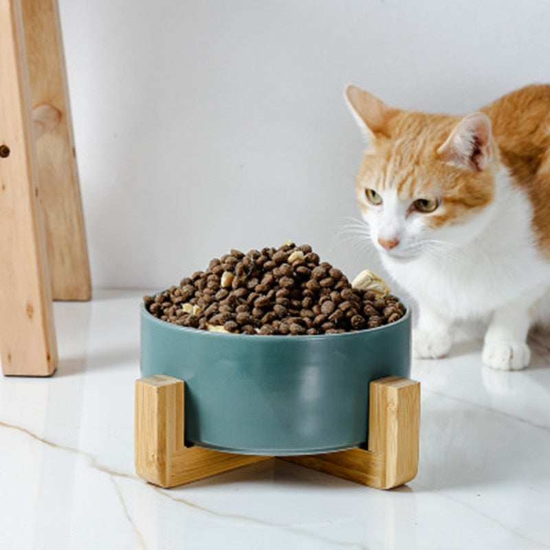 Ceramic Pet Bowl Dish with Wood Stand