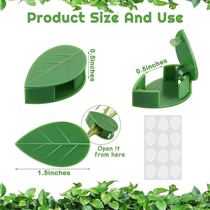 Plant Fixture Clip