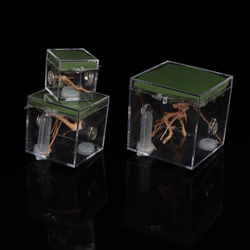 S/M/L Spider Reptile Terrarium Acrylic Reptile Breeding Box Terrarium Accessories Insect Box For Spider Cricket Snail Tarantula