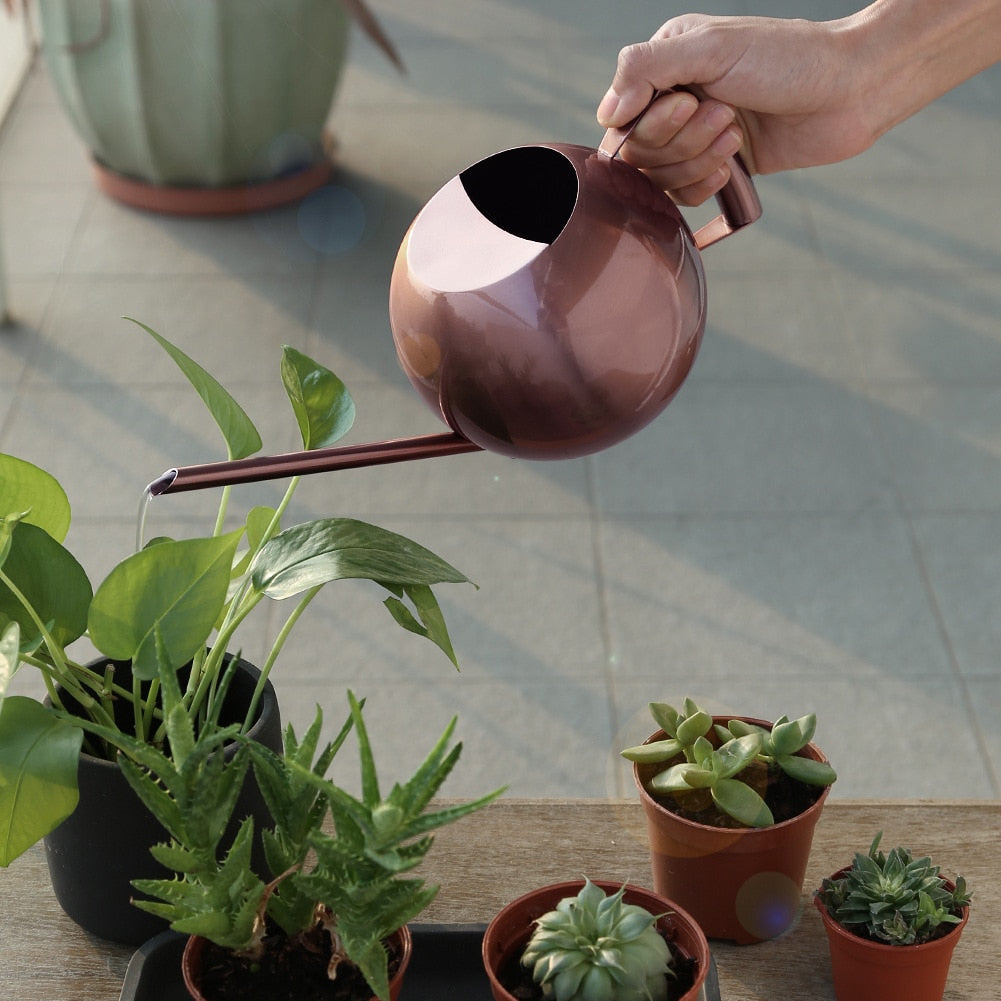 1L Stainless Steel Small Watering Can