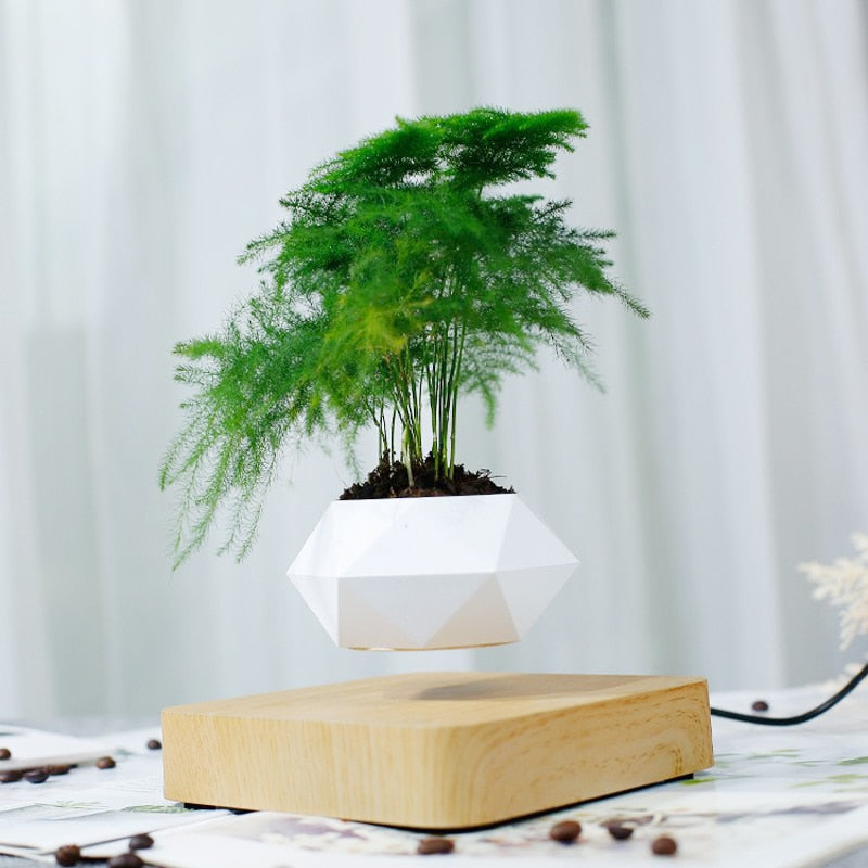 Levitating Air Bonsai Pot Rotation Planters Desk Decor