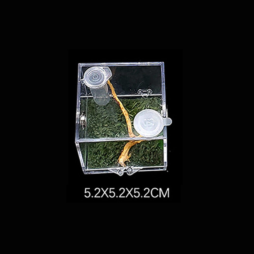 S/M/L Spider Reptile Terrarium Acrylic Reptile Breeding Box Terrarium Accessories Insect Box For Spider Cricket Snail Tarantula