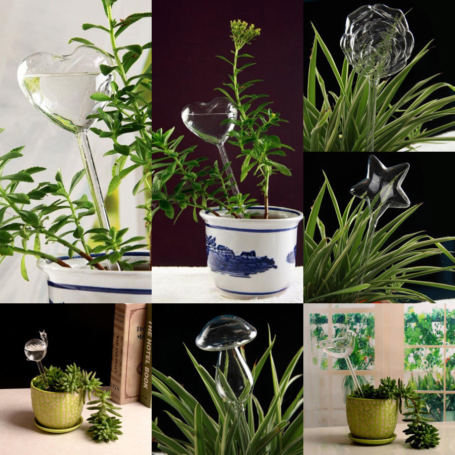 6 Types Glass Plant Flowers Water Feeder -  Self Watering