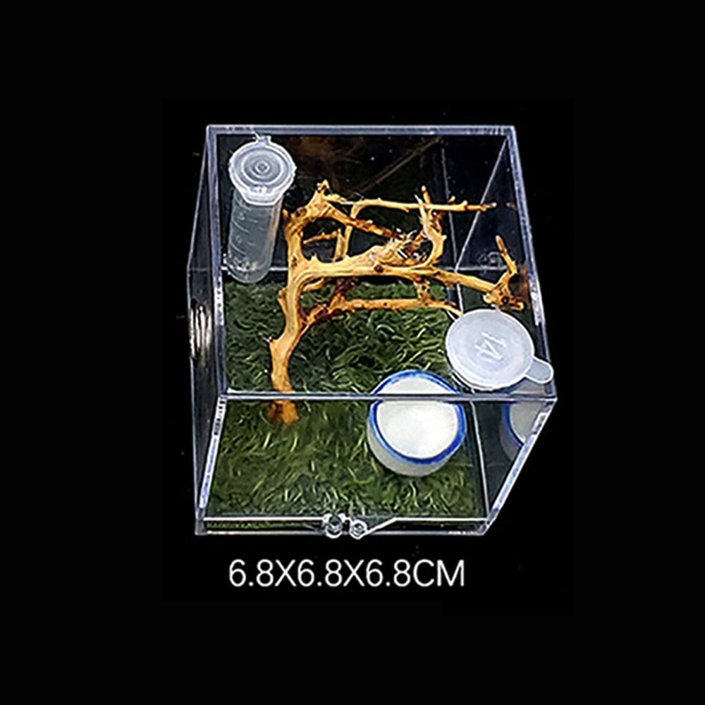 S/M/L Spider Reptile Terrarium Acrylic Reptile Breeding Box Terrarium Accessories Insect Box For Spider Cricket Snail Tarantula