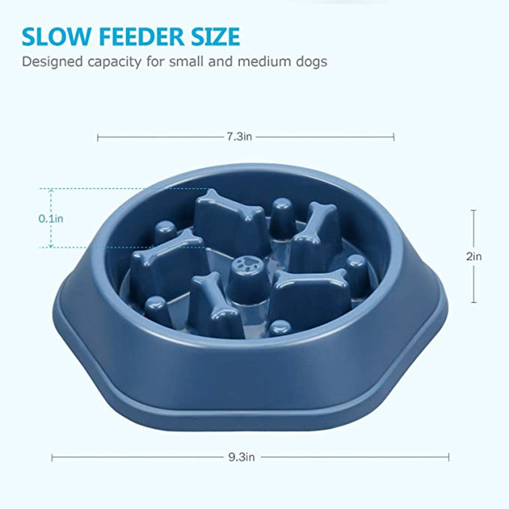 Pet Slow Feeder Bowl l