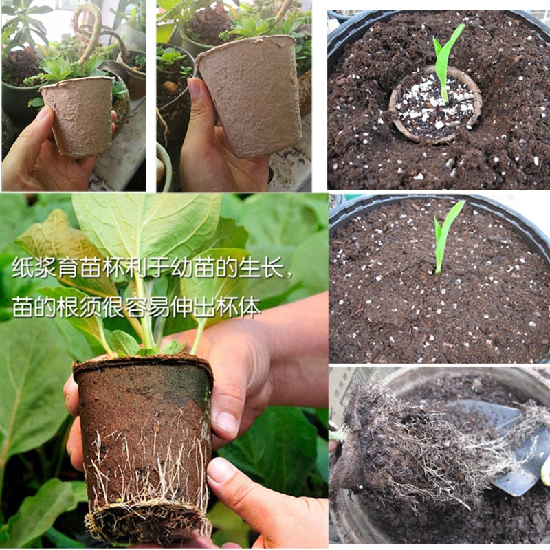 10pcs Paper Plant Nursery Cups