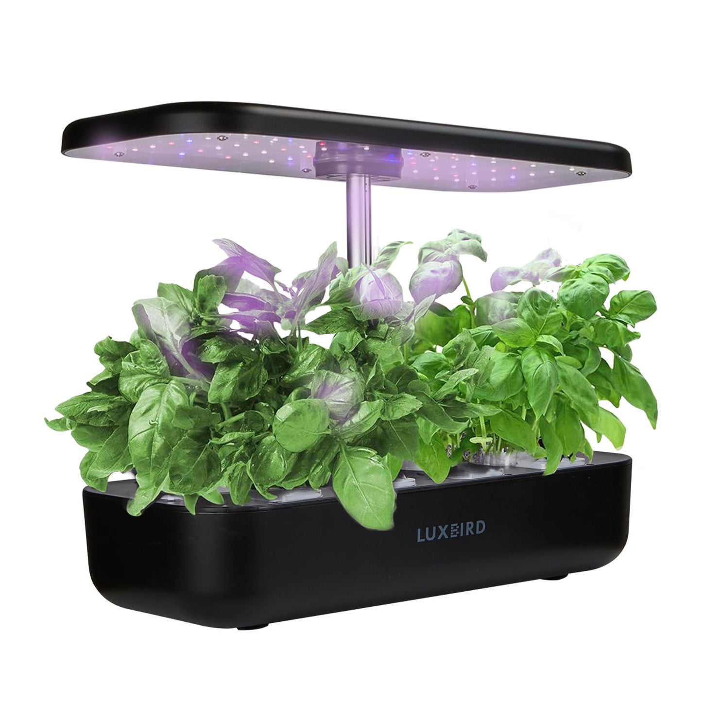 INKBIRD LED Grow Light Hydroponics Growing System Panel Height Adjustable Full Spectrum Sunlight All Year For Greenhouse Plants