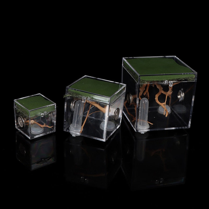 S/M/L Spider Reptile Terrarium Acrylic Reptile Breeding Box Terrarium Accessories Insect Box For Spider Cricket Snail Tarantula