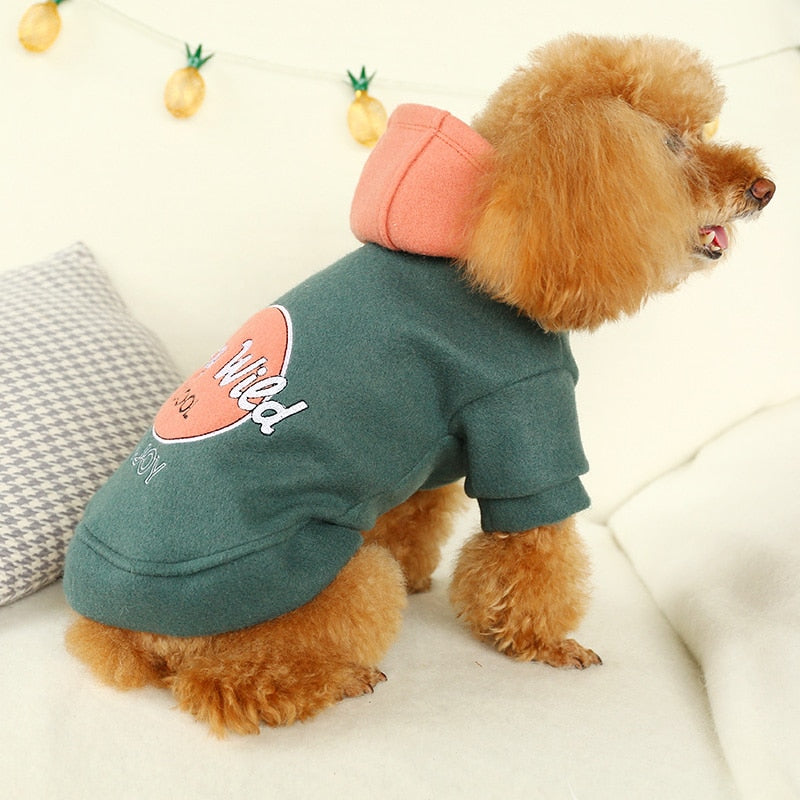 PETCIRCLE Pet Dress Teddy Sweater