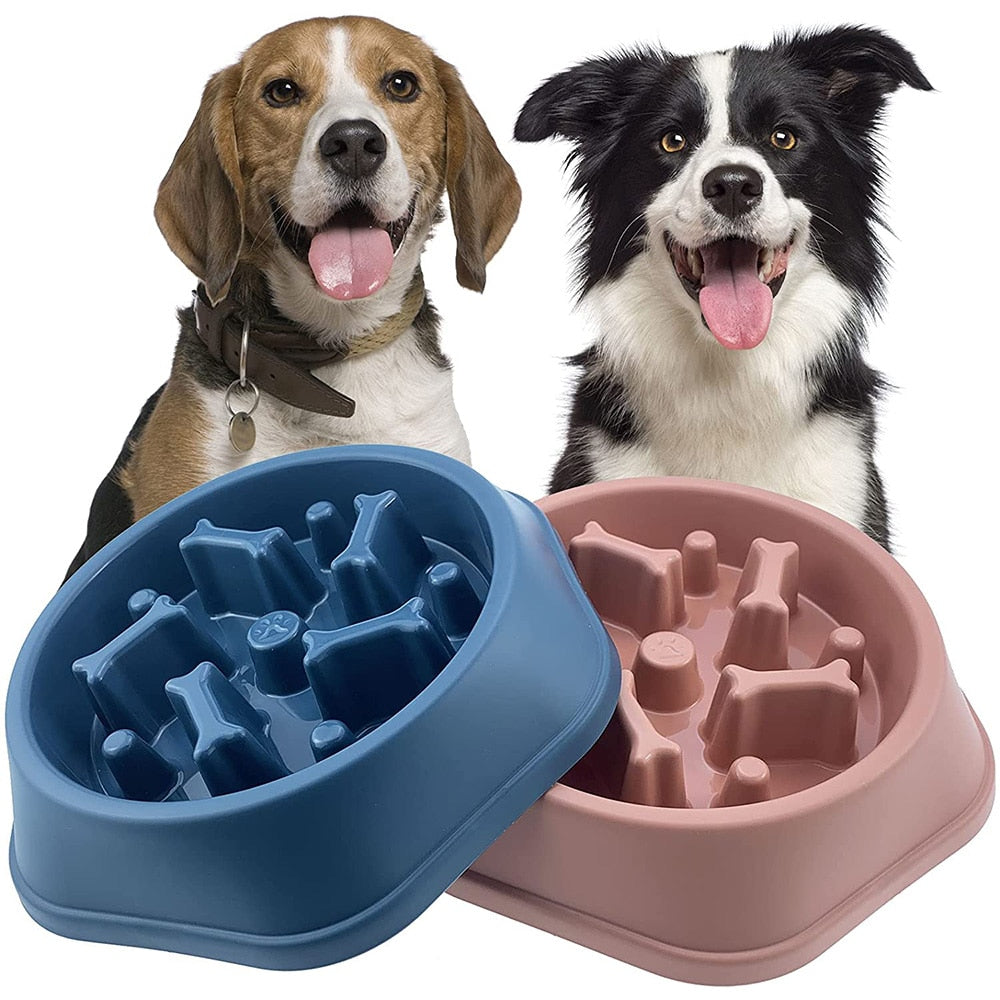 Pet Slow Feeder Bowl l