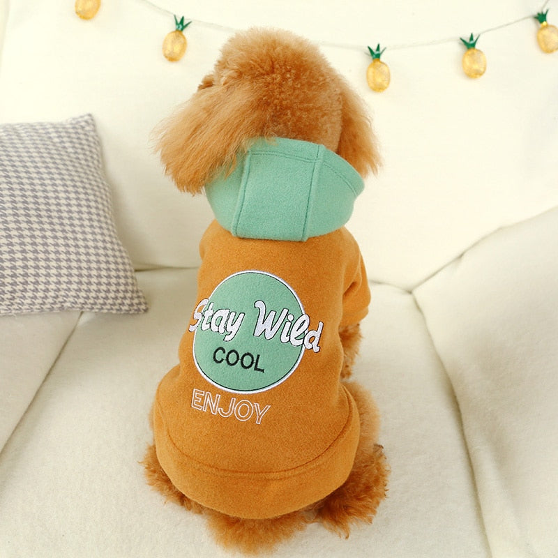 PETCIRCLE Pet Dress Teddy Sweater