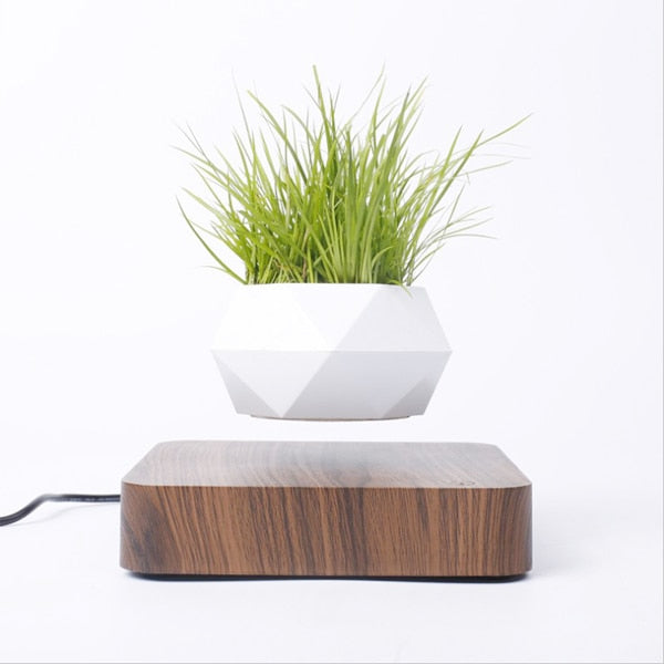 Levitating Air Bonsai Pot Rotation Planters Desk Decor