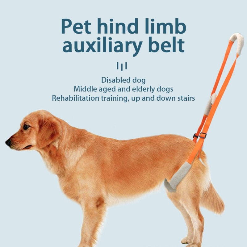 Pet Rear Legs Support - Aid Sling - Pet Dog Lift Harness For Elderly Dog With Poor Stability Back Leg Hip Disabled Joint Injury