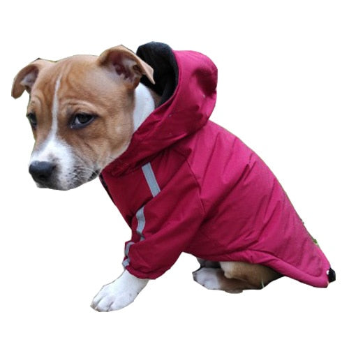 Waterproof Warm Cotton Hooded Jacket