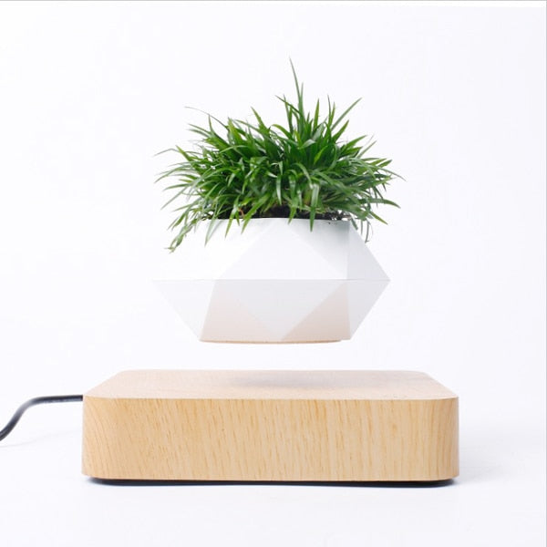 Levitating Air Bonsai Pot Rotation Planters Desk Decor