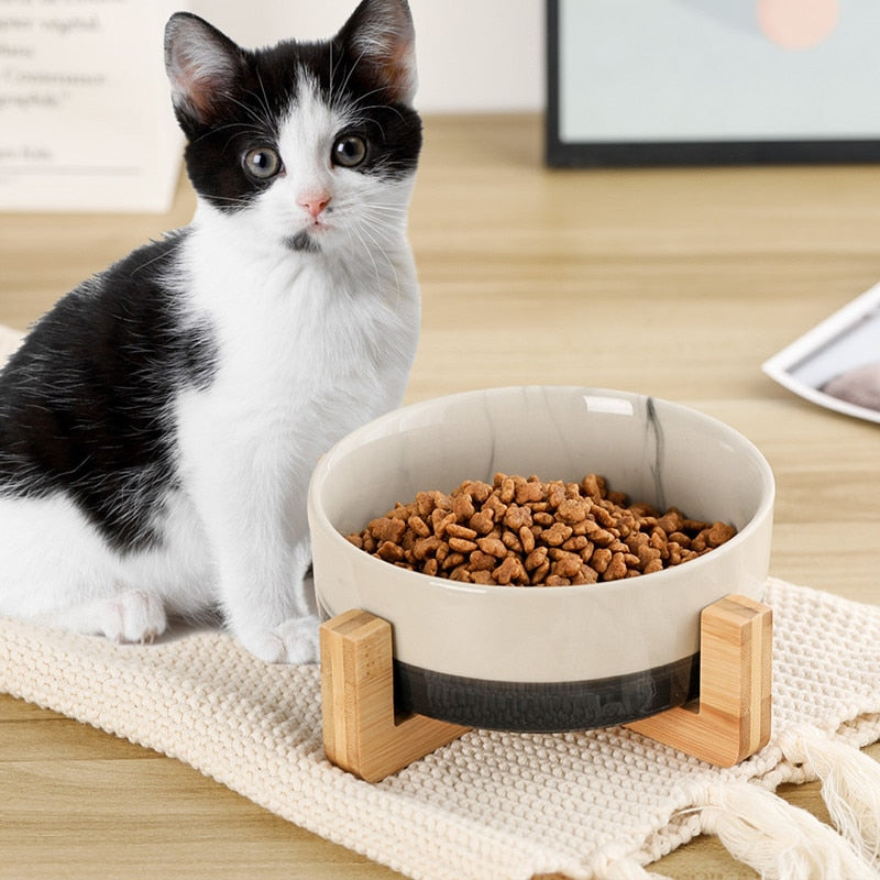 Ceramic Pet Bowl Dish with Wood Stand