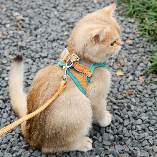 Harness Leash Set for Chihuahuas or Cats