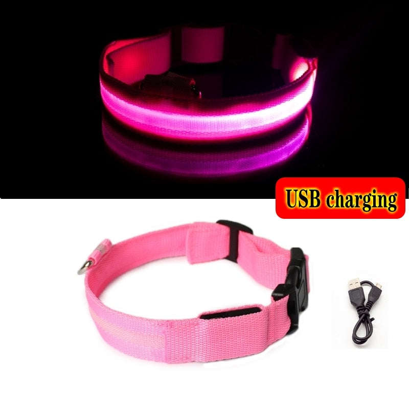 Led Dog Collar Light Anti-lost Collar For Dogs Puppies - Night Luminous Supplies - USB Charging/Battery