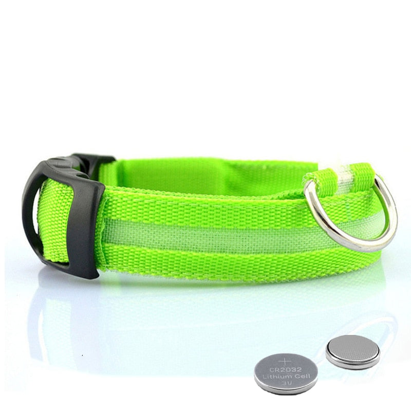 Led Dog Collar Light Anti-lost Collar For Dogs Puppies - Night Luminous Supplies - USB Charging/Battery