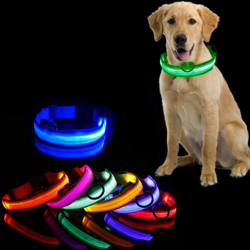 Led Dog Collar Light Anti-lost Collar For Dogs Puppies - Night Luminous Supplies - USB Charging/Battery