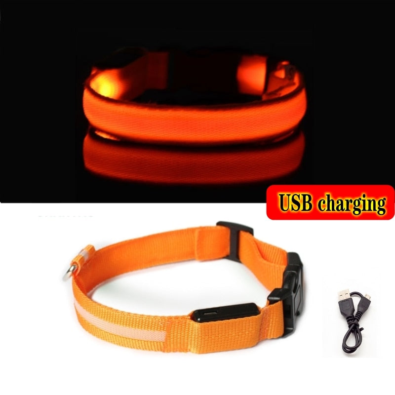 Led Dog Collar Light Anti-lost Collar For Dogs Puppies - Night Luminous Supplies - USB Charging/Battery