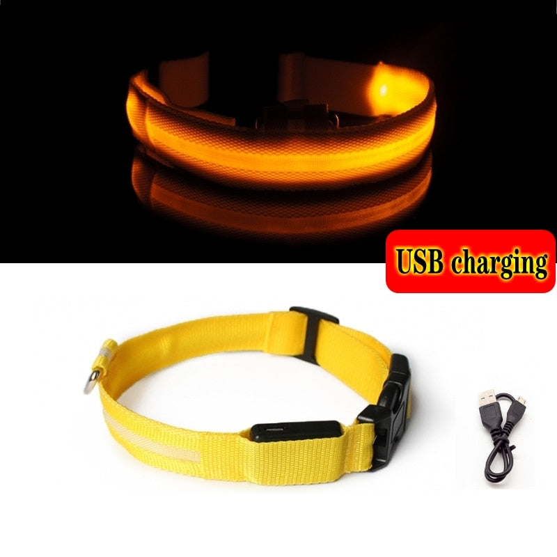 Led Dog Collar Light Anti-lost Collar For Dogs Puppies - Night Luminous Supplies - USB Charging/Battery