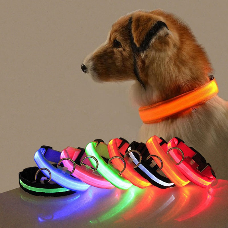 Led Dog Collar Light Anti-lost Collar For Dogs Puppies - Night Luminous Supplies - USB Charging/Battery