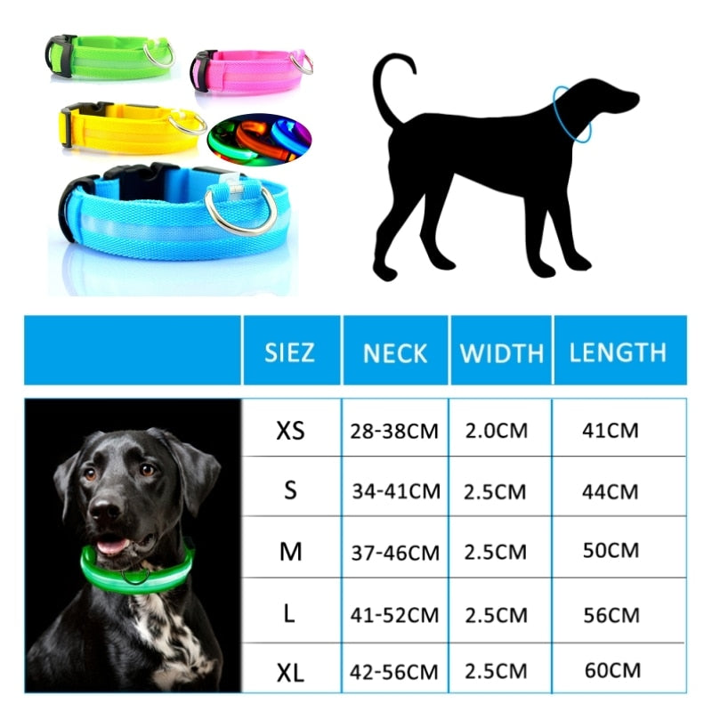 Led Dog Collar Light Anti-lost Collar For Dogs Puppies - Night Luminous Supplies - USB Charging/Battery