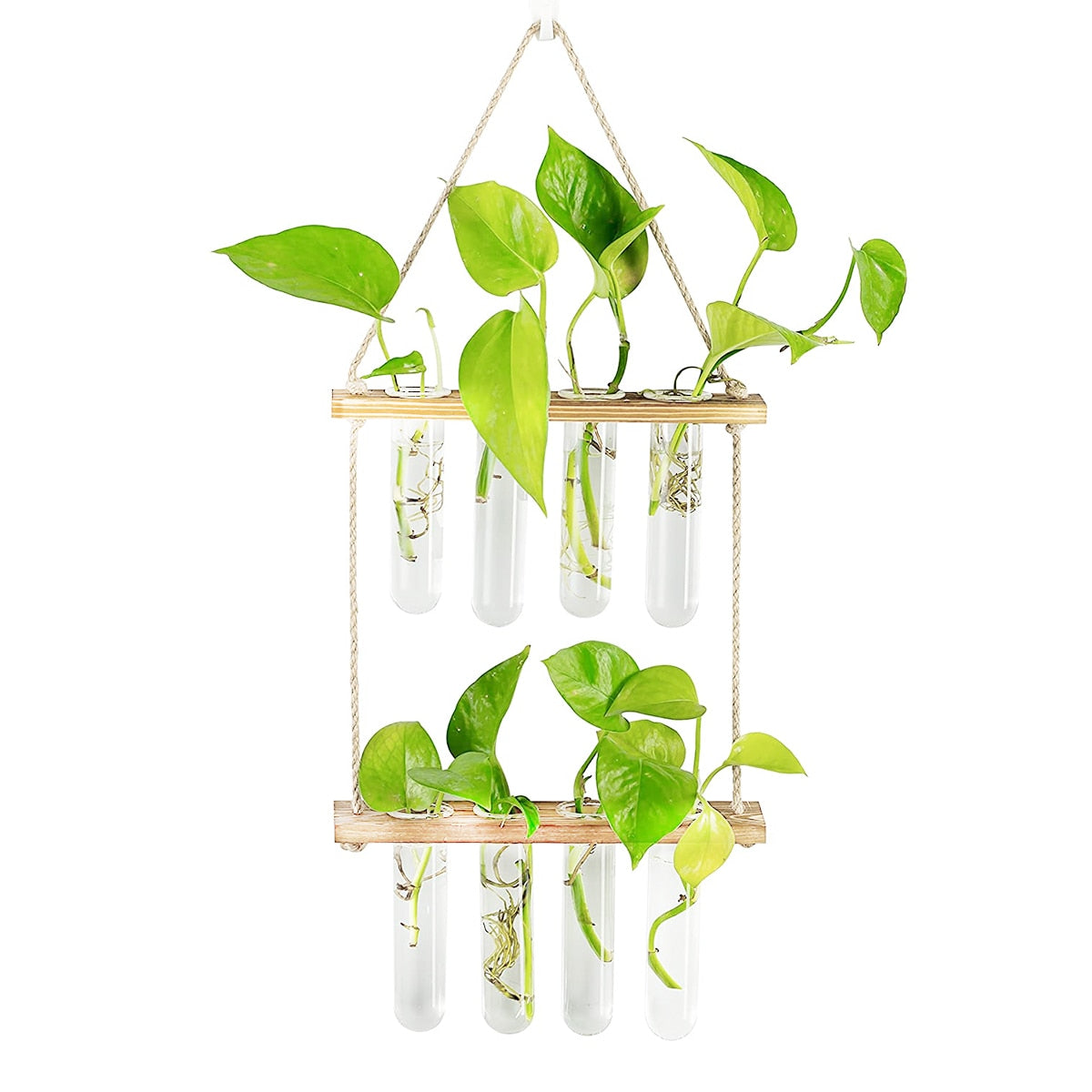 Ins Wall Hanging Glass Planter Terrarium Container