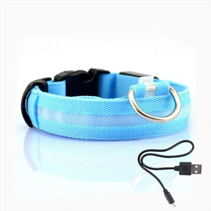 Led Dog Collar Light Anti-lost Collar For Dogs Puppies - Night Luminous Supplies - USB Charging/Battery