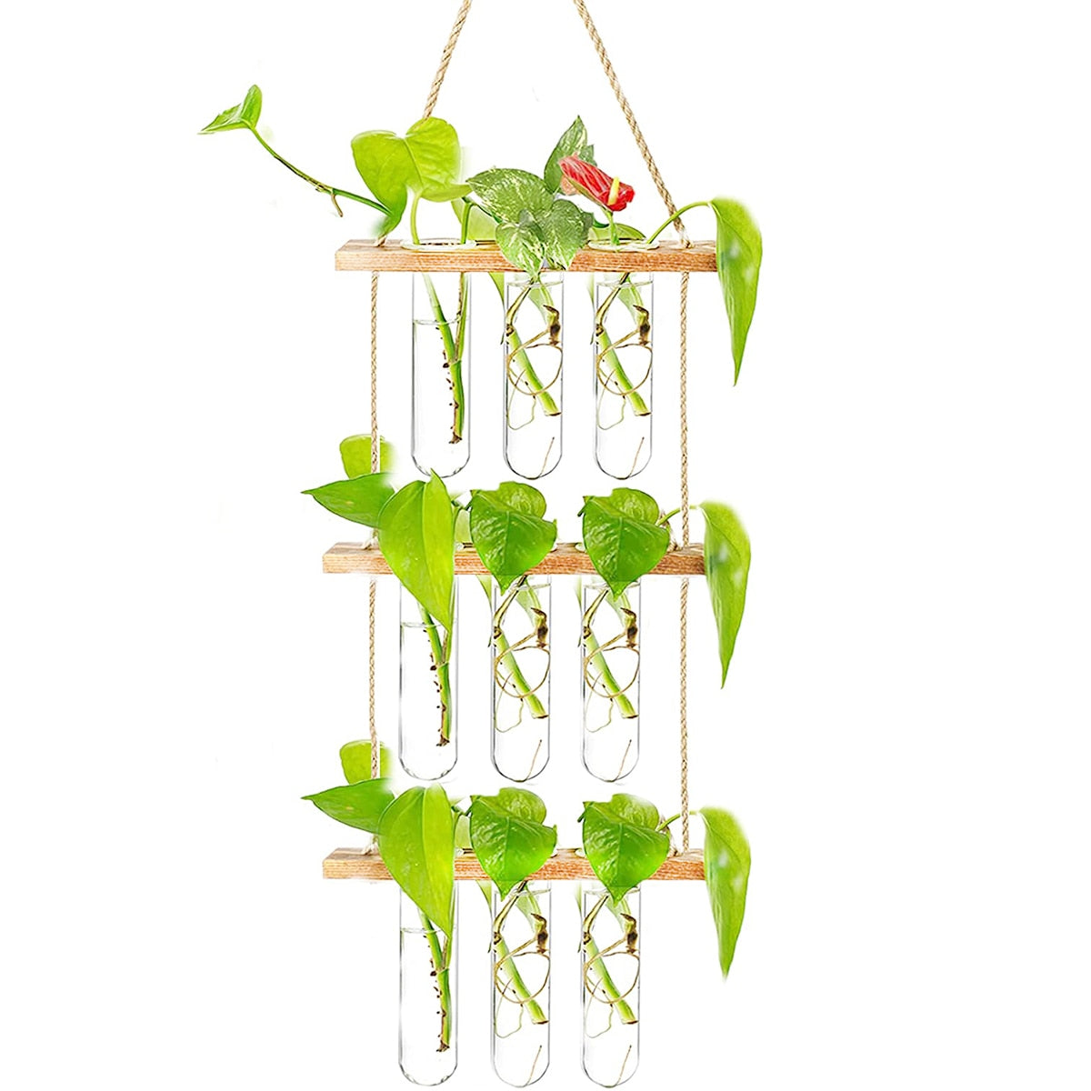 Ins Wall Hanging Glass Planter Terrarium Container