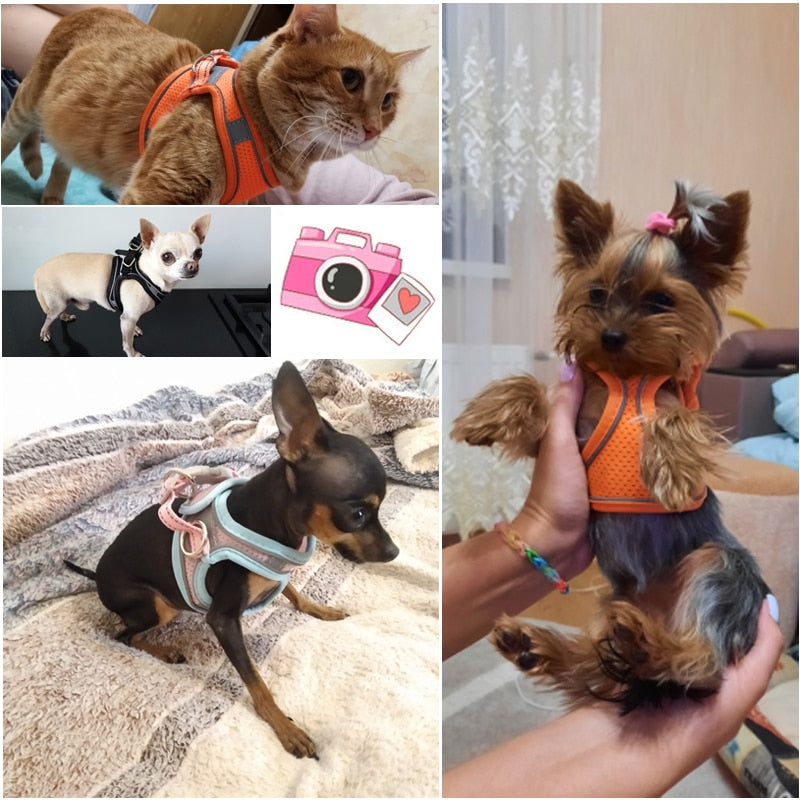 Pet Harness Vest With Leash Reflective Nylon - Harness Collars