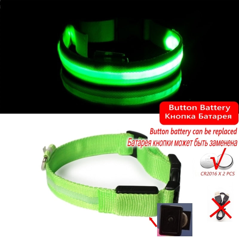 Led Dog Collar Light Anti-lost Collar For Dogs Puppies - Night Luminous Supplies - USB Charging/Battery