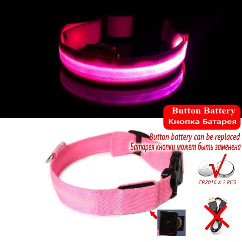 Led Dog Collar Light Anti-lost Collar For Dogs Puppies - Night Luminous Supplies - USB Charging/Battery