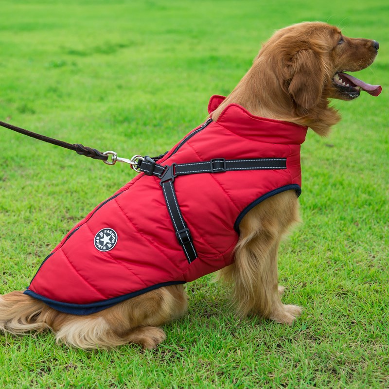 Large Pet Dog Jacket With Harness Winter Warm Dog Clothes For Labrador - Waterproof Outfit