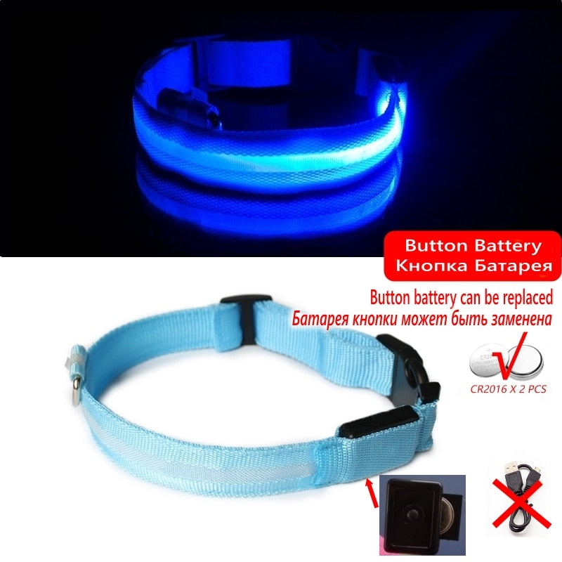 Led Dog Collar Light Anti-lost Collar For Dogs Puppies - Night Luminous Supplies - USB Charging/Battery