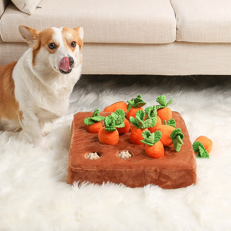 Carrot Plush Toy - Snuffle Mat