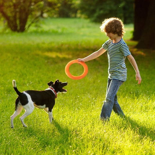 18CM Flying Disc Training / Interactive Pet Toy