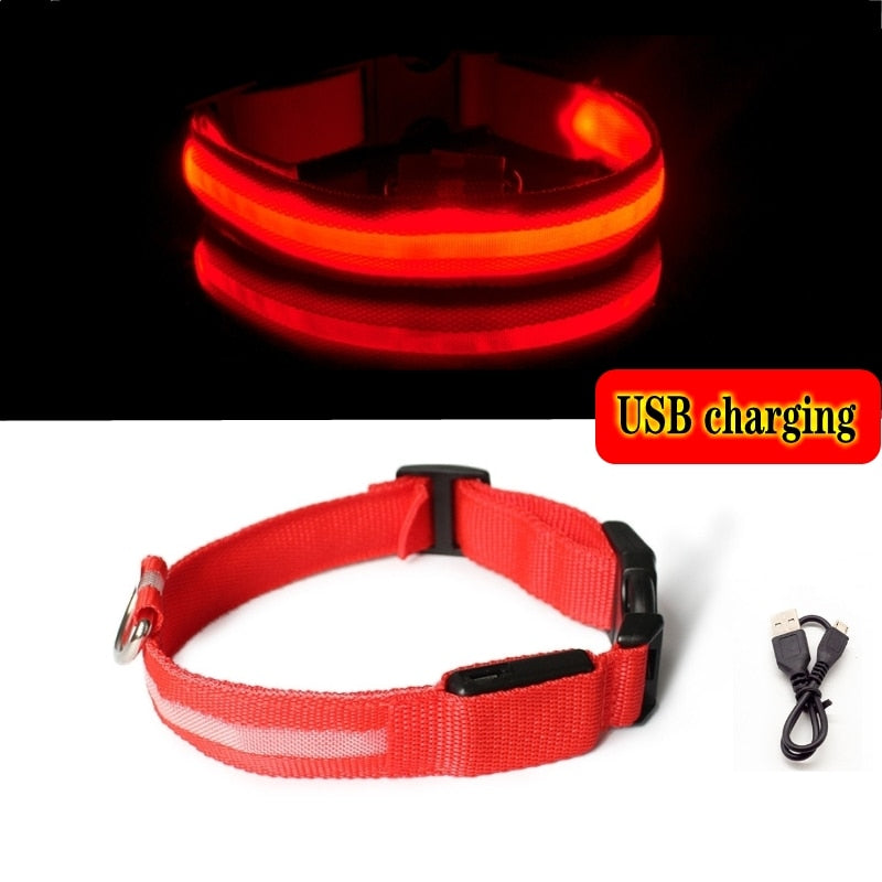 Led Dog Collar Light Anti-lost Collar For Dogs Puppies - Night Luminous Supplies - USB Charging/Battery